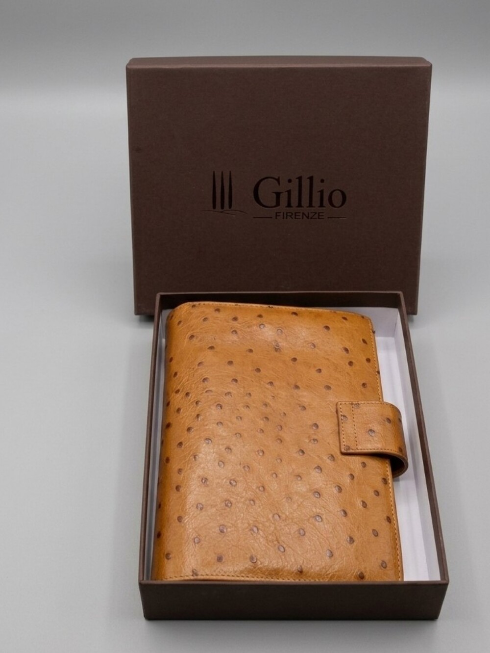 Authentic Gillio Firenze Medium Compagna Genuine Ostrich Leather 6-Ring Planner